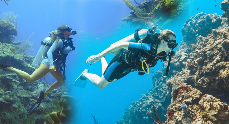Diving into Paradise: The Ultimate Guide to Scuba Diving in Hawaii