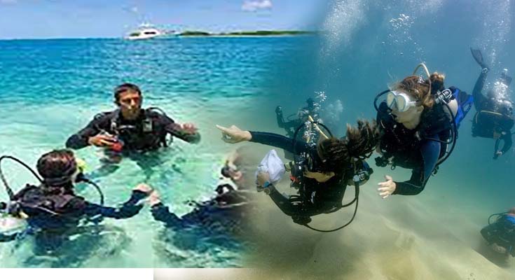 Submerge Yourself: The Excitement of Scuba Diving Courses