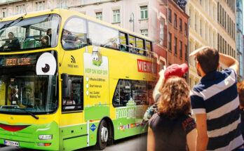 Sightseeing Bus vs. Walking Tours: Which Is Right for You?