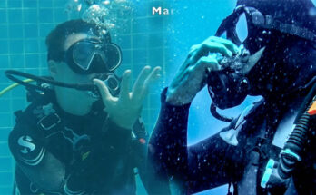 Deep Dive Dialogues: Exploring Scuba Diving Hand Signals