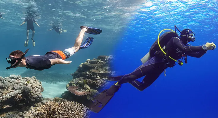 Key Differences Between Scuba Diving and Snorkeling for Beginners